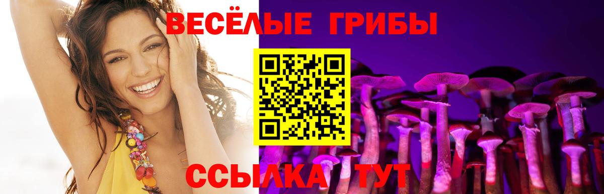Псилоцибиновые грибы мицелий  Вход с VPN  Вязники 